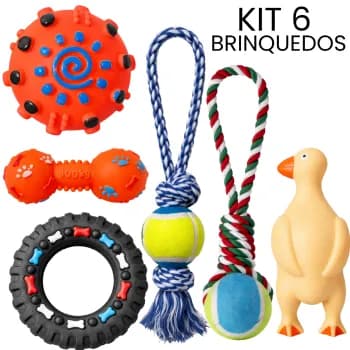 Kit Brinquedos Cachorro Cordas e Vinil para Cachorro Brinquedos Pet Corda Vinil Apito