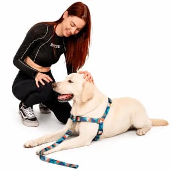 Coleira Anti Puxão Com Guia Para Adestramento de Cachorro Modelo anti puxão peitoral