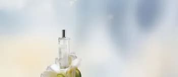 Pur Blanca Original Deo Colônia 75 ml