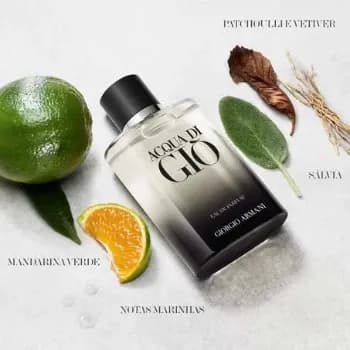 Perfume Masculino Giorgio Armani Acqua Di Giò Eau De Parfum Refilável 100ml