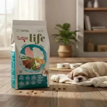 Ração Seca Quatree Life Cães Adultos Pequenos Frango 10,1kg