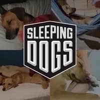 Sleeping Dogs: Definitive Edition (Jogo + DLCs) - PC