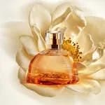 Eau de Parfum Aura Alba Dourada 75ml